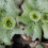 Amphibians of the Plant Kingdom- Bryophytes